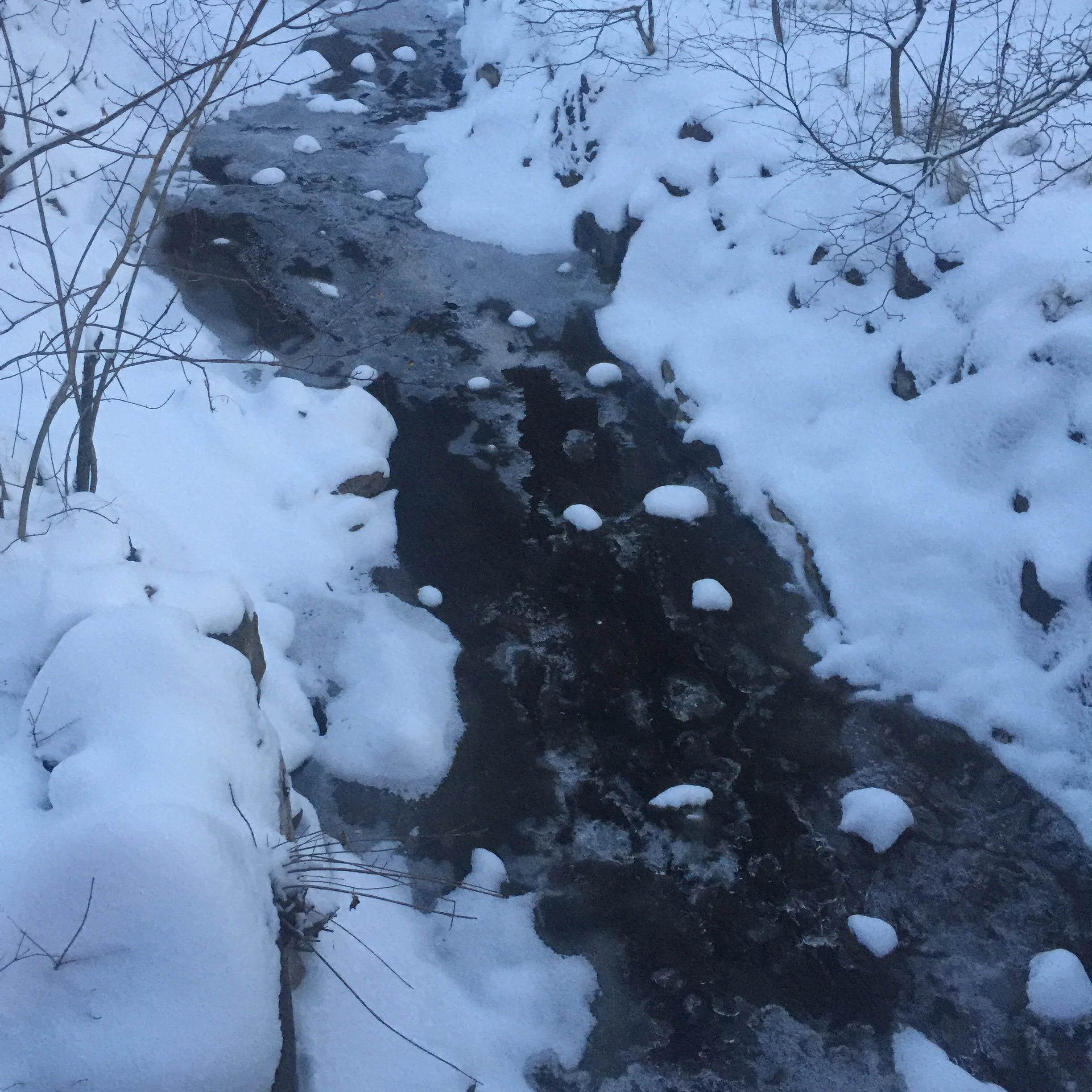 Remember the Reason album cover